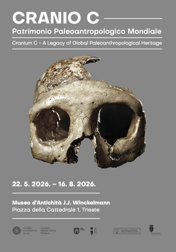 CRANIO C. Patrimonio Paleoantropologico Mondiale