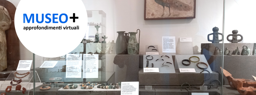 cover-museo-plus