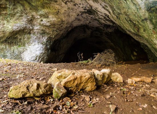 grotta orso esterno
